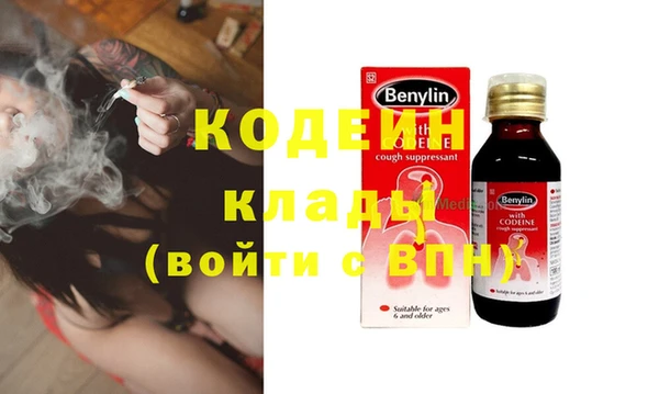 хмурый Абаза