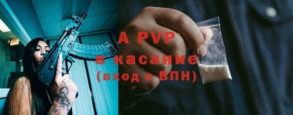хмурый Абаза