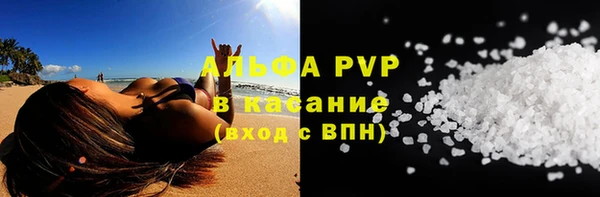 хмурый Абаза