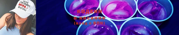ПСИЛОЦИБИНОВЫЕ ГРИБЫ Вязьма