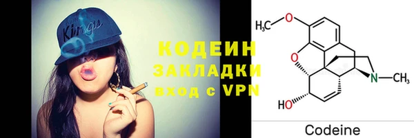хмурый Абаза