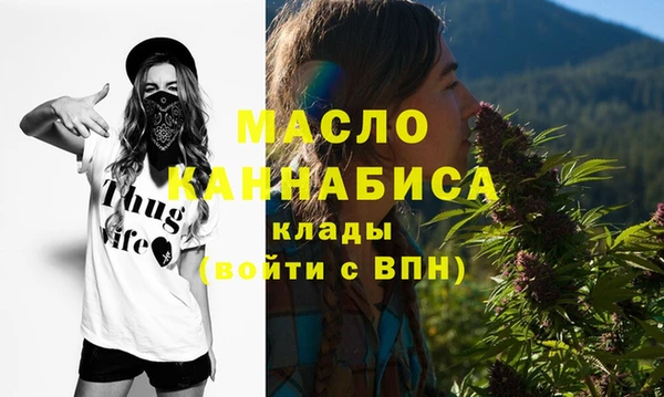 молекула духа Вяземский