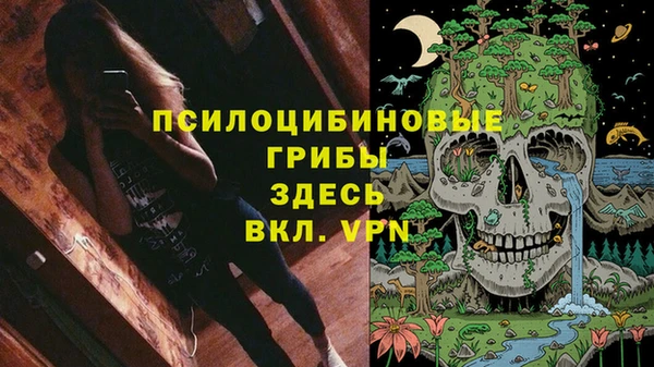 хмурый Абаза