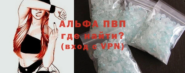 хмурый Абаза